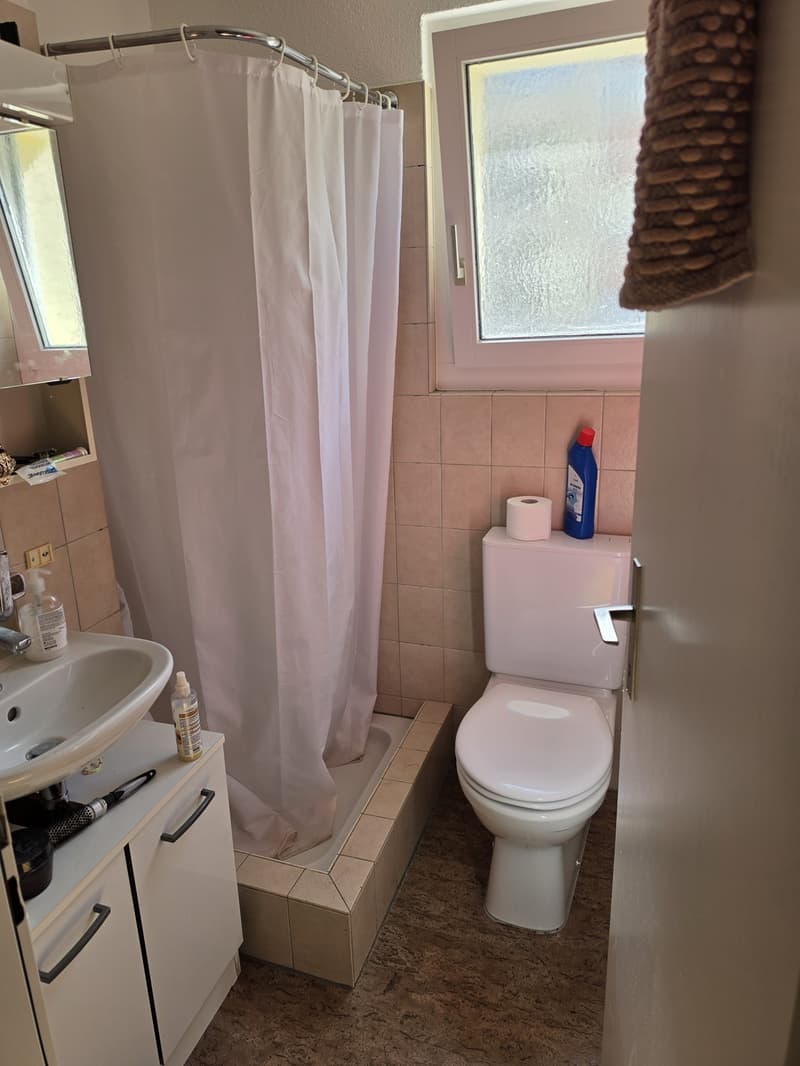 Nachmieter gesucht  4.5-Zimmer-Wohnung in Hombrechtikon (2)