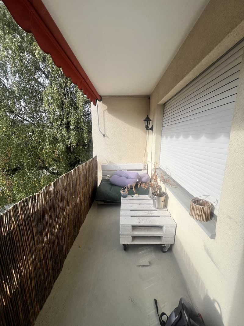 Helle 4½-Zimmer-Wohnung mit Balkon und Garagenbox in Hünenberg  ab 01.11.2026 (3)