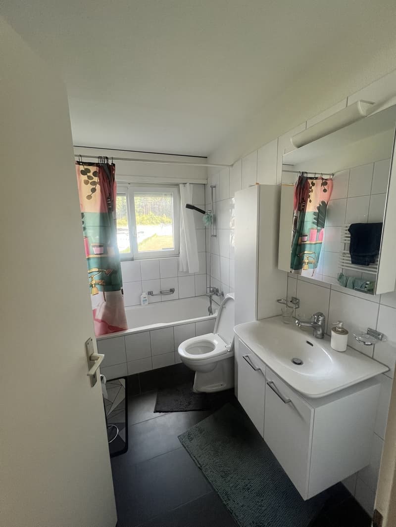 Helle 4½-Zimmer-Wohnung mit Balkon und Garagenbox in Hünenberg  ab 01.11.2026 (4)