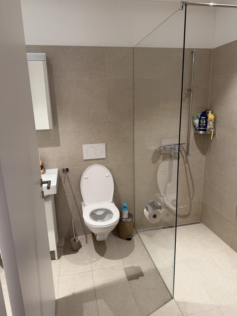 Wohnung zu Vermieten (1)