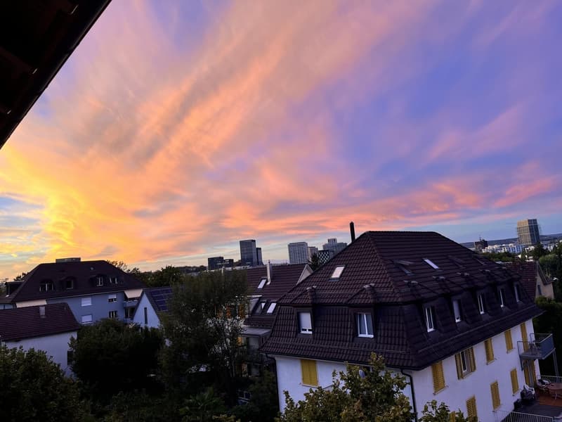 Hell, grosszügig, waldnah: 1.1.-Mitte Mai 2027 (3)