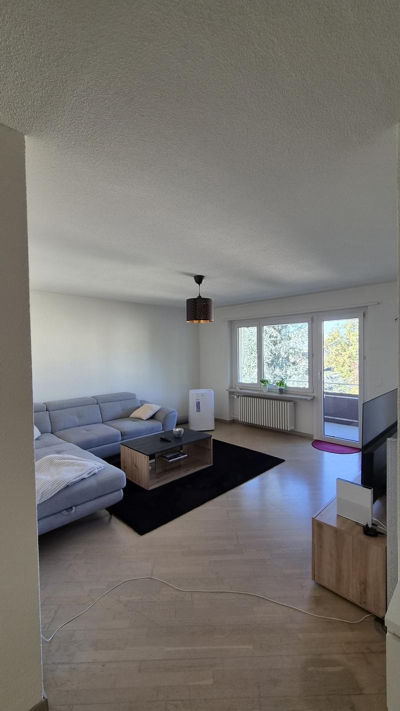 Nachmieter für 4.5-Zimmer Wohnung gesucht (2)