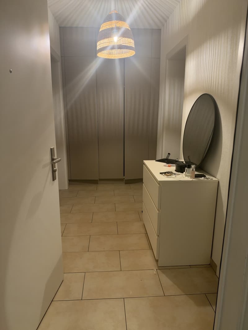 Sublease 2.5 Room apartment in Wiedikon (5)