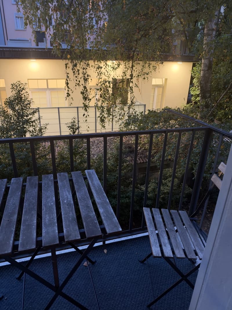 Sublease 2.5 Room apartment in Wiedikon (4)