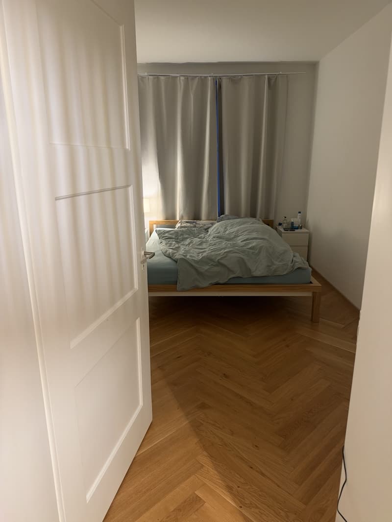 Sublease 2.5 Room apartment in Wiedikon (3)
