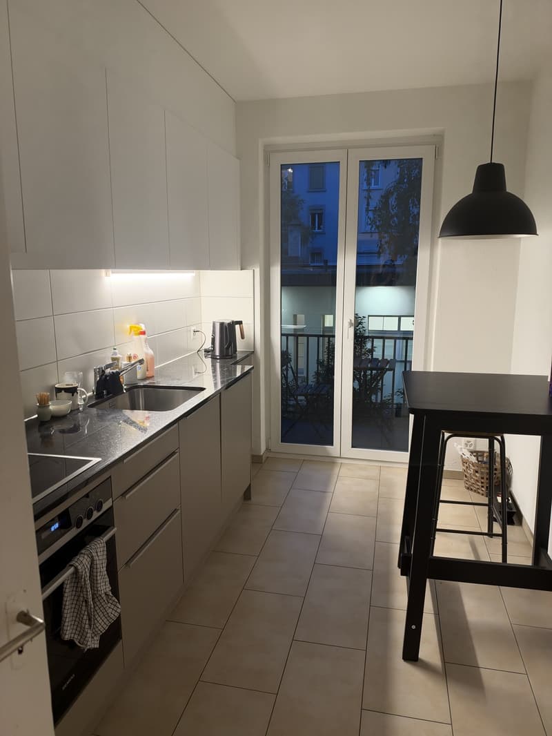 Sublease 2.5 Room apartment in Wiedikon (6)