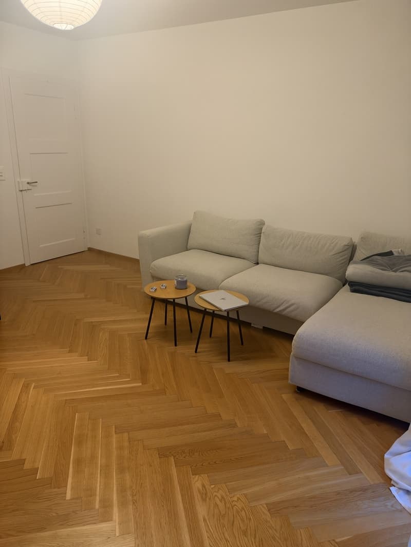Sublease 2.5 Room apartment in Wiedikon (2)