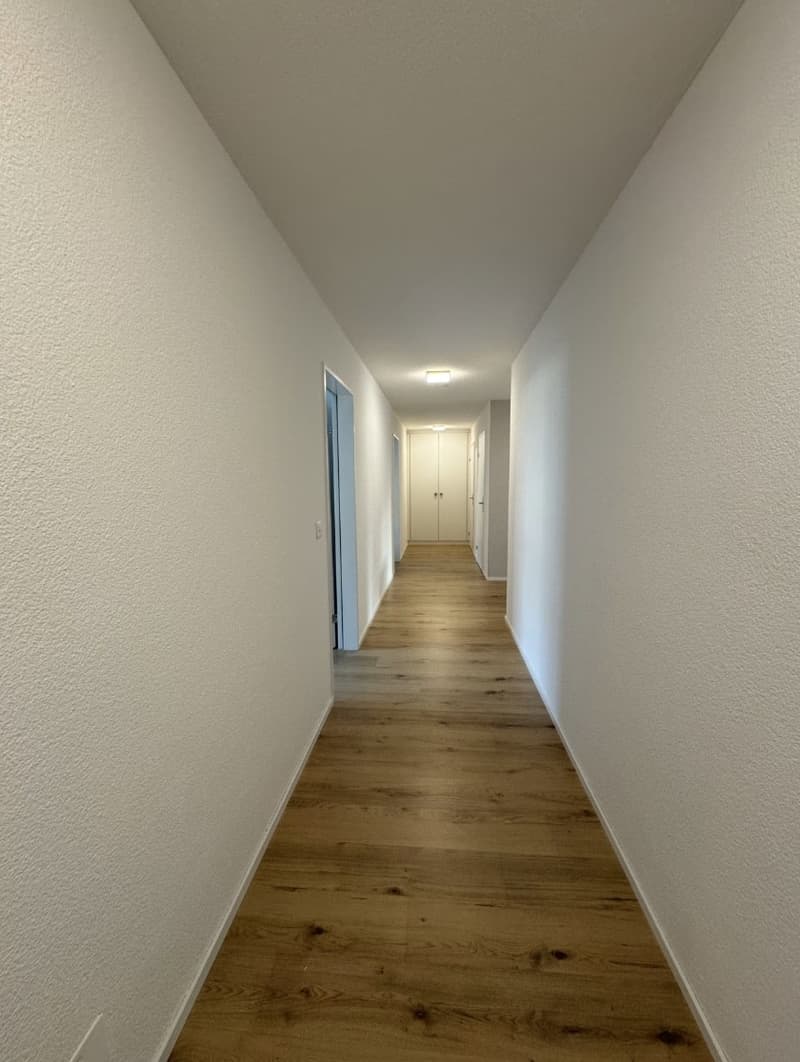 Apartment Lease Takeover 4.5-Room Apartment in Baar (4)