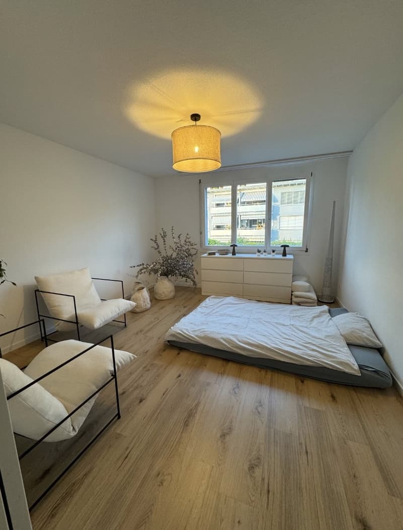 Apartment Lease Takeover 4.5-Room Apartment in Baar (9)
