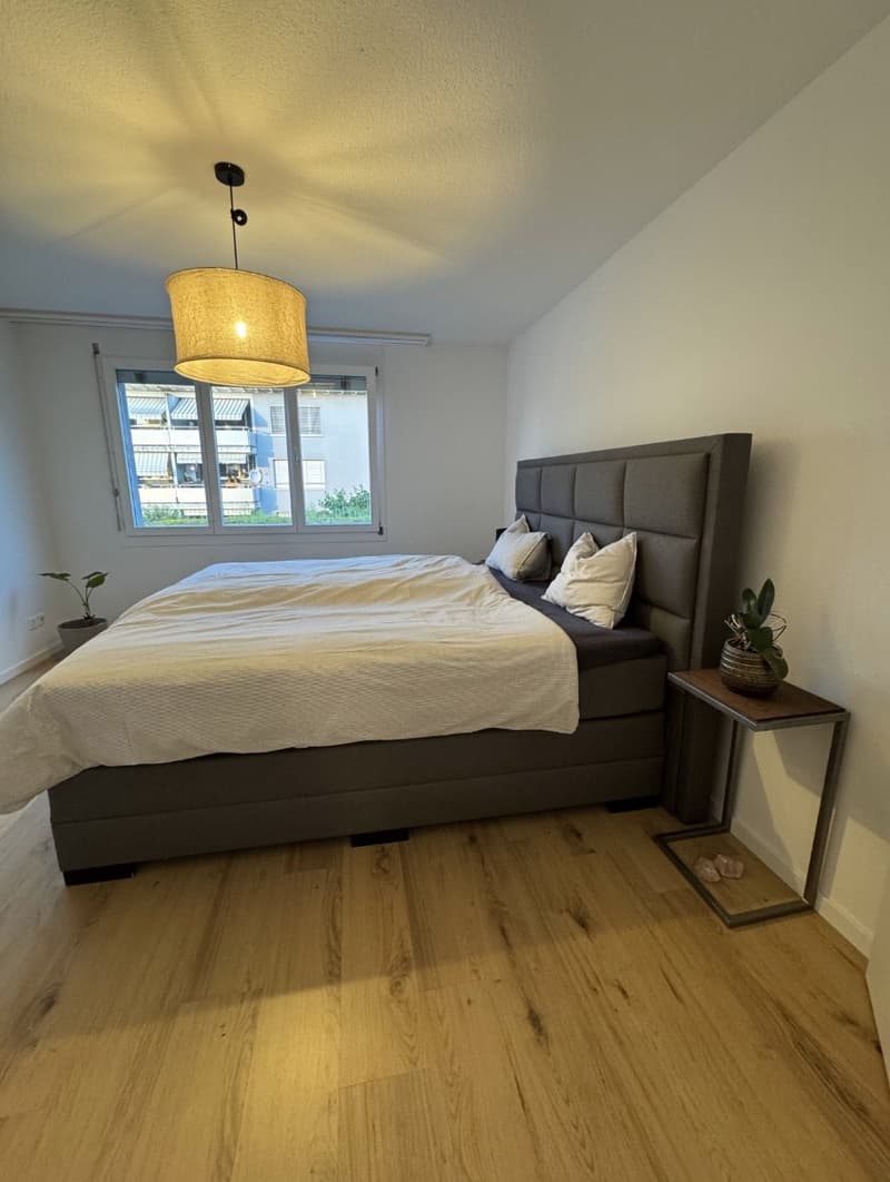 Apartment Lease Takeover 4.5-Room Apartment in Baar (5)