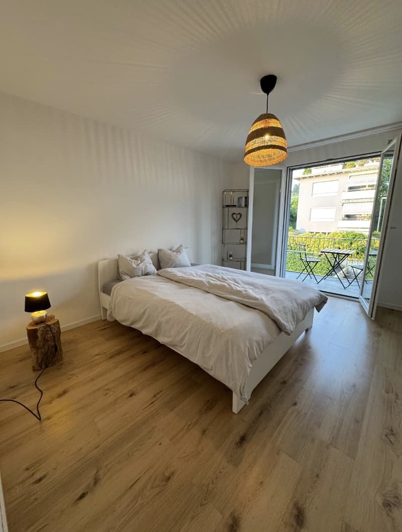 Apartment Lease Takeover 4.5-Room Apartment in Baar (3)
