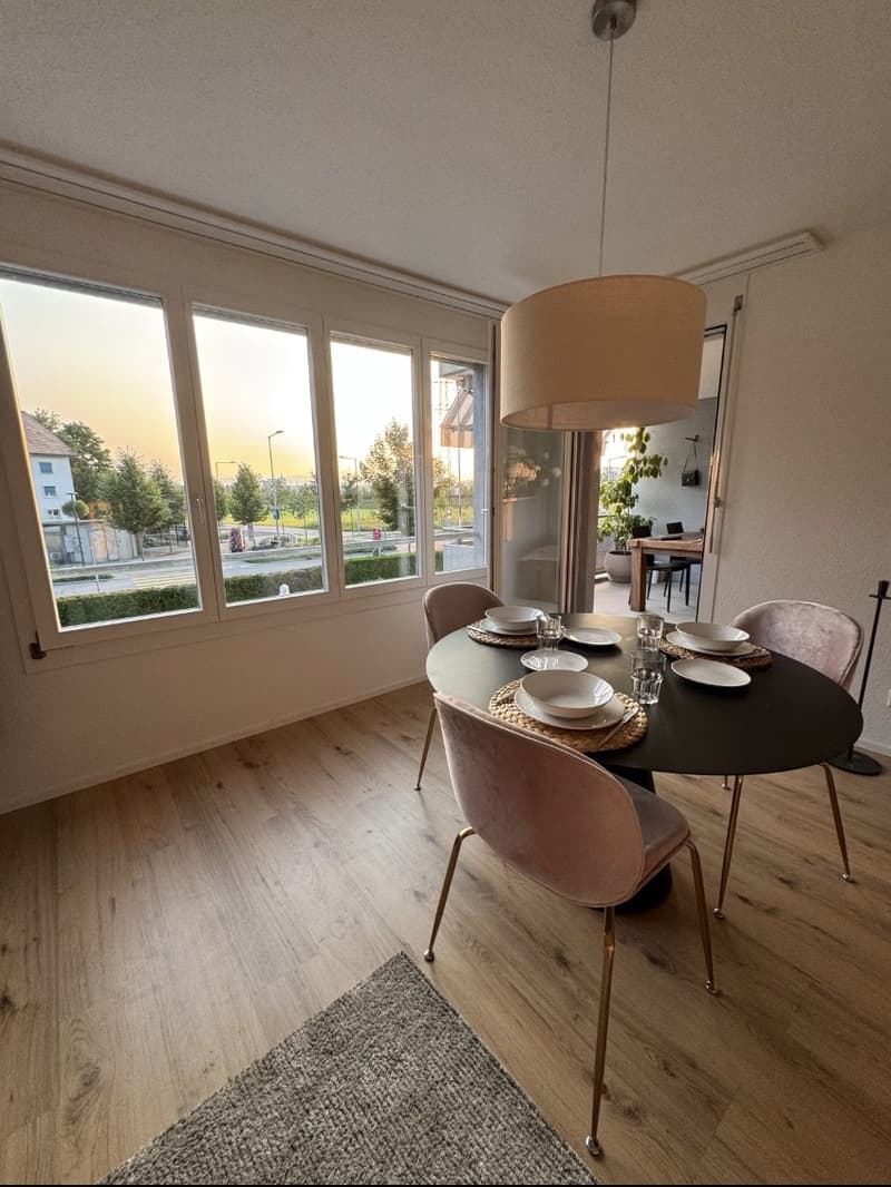 Apartment Lease Takeover 4.5-Room Apartment in Baar (2)