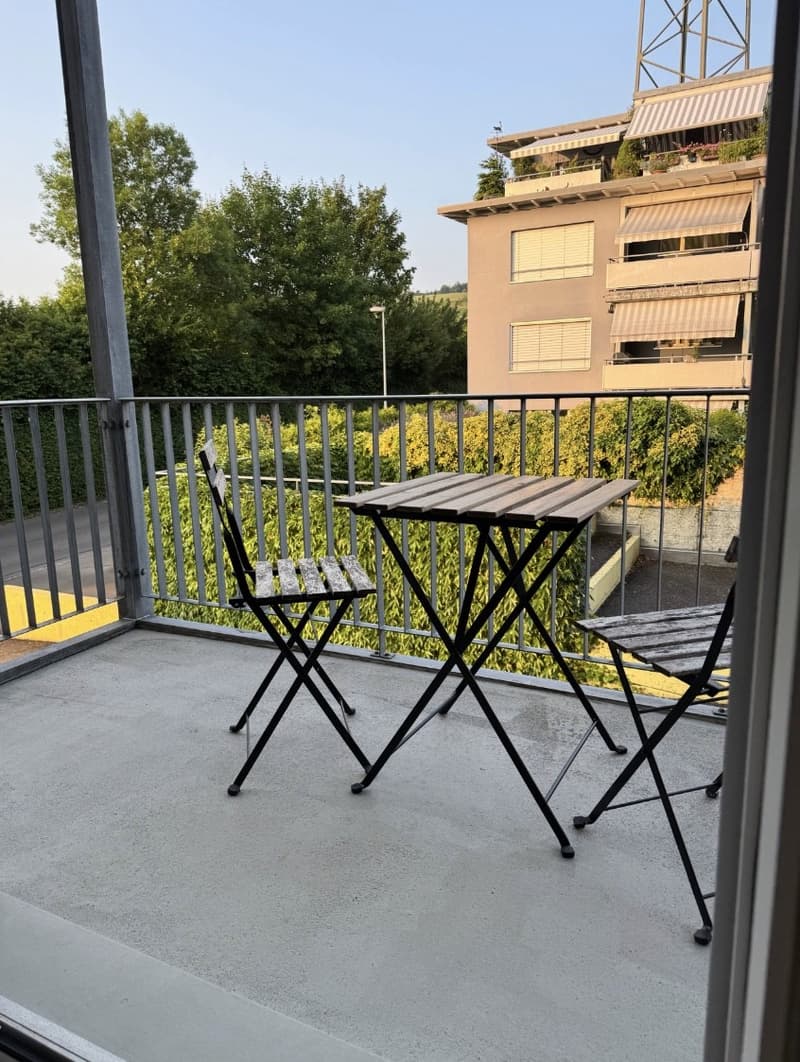 Apartment Lease Takeover 4.5-Room Apartment in Baar (10)
