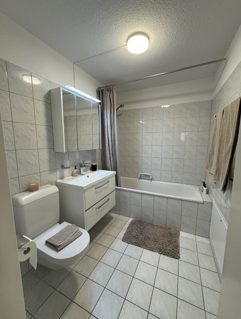 Apartment Lease Takeover 4.5-Room Apartment in Baar (6)