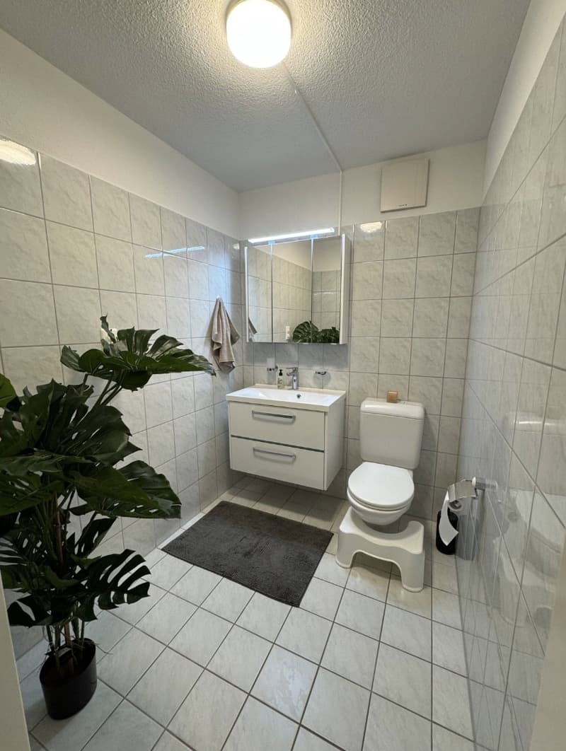 Apartment Lease Takeover 4.5-Room Apartment in Baar (8)