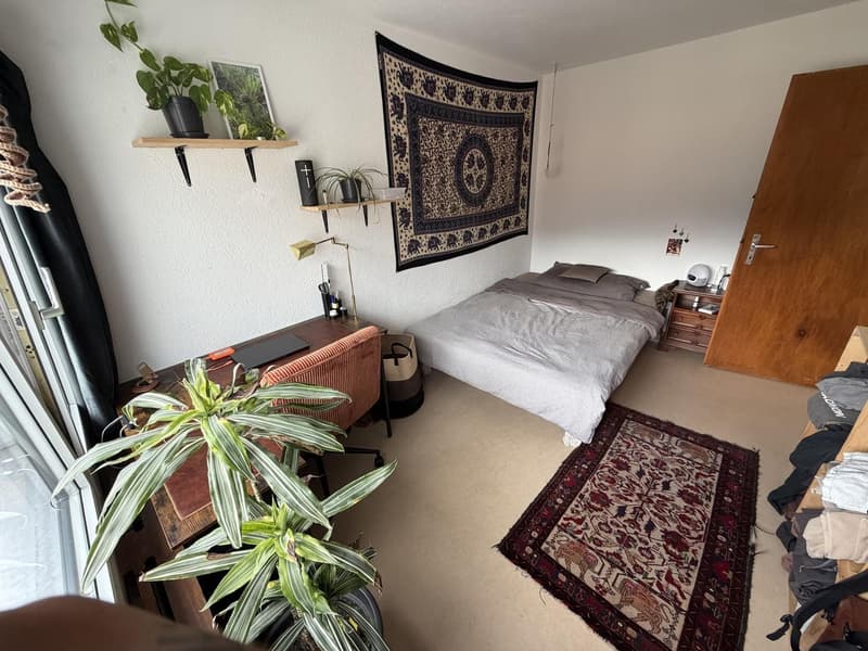 Wunderschöne, voll möblierte 2-Zimmer-Wohnung zur Untermiete in Zizers (April Oktober 2027) (11)