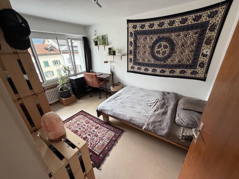 Wunderschöne, voll möblierte 2-Zimmer-Wohnung zur Untermiete in Zizers (April Oktober 2027) (10)