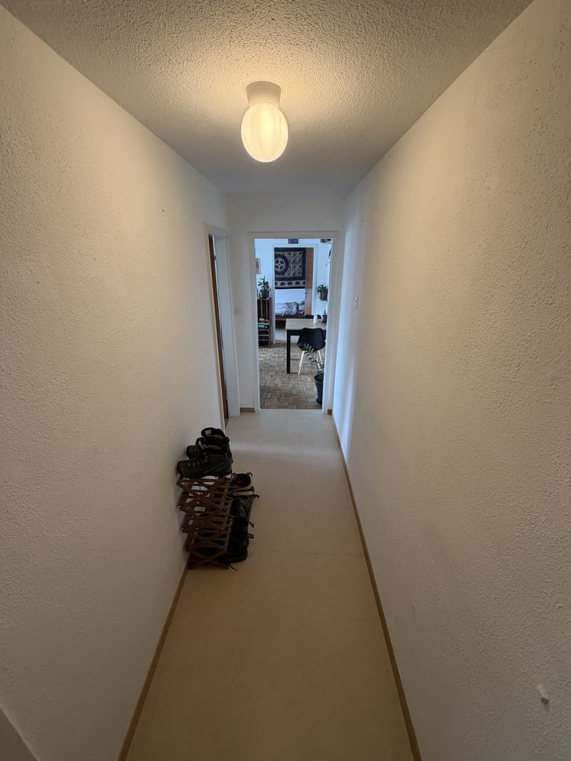 Wunderschöne, voll möblierte 2-Zimmer-Wohnung zur Untermiete in Zizers (April Oktober 2027) (8)