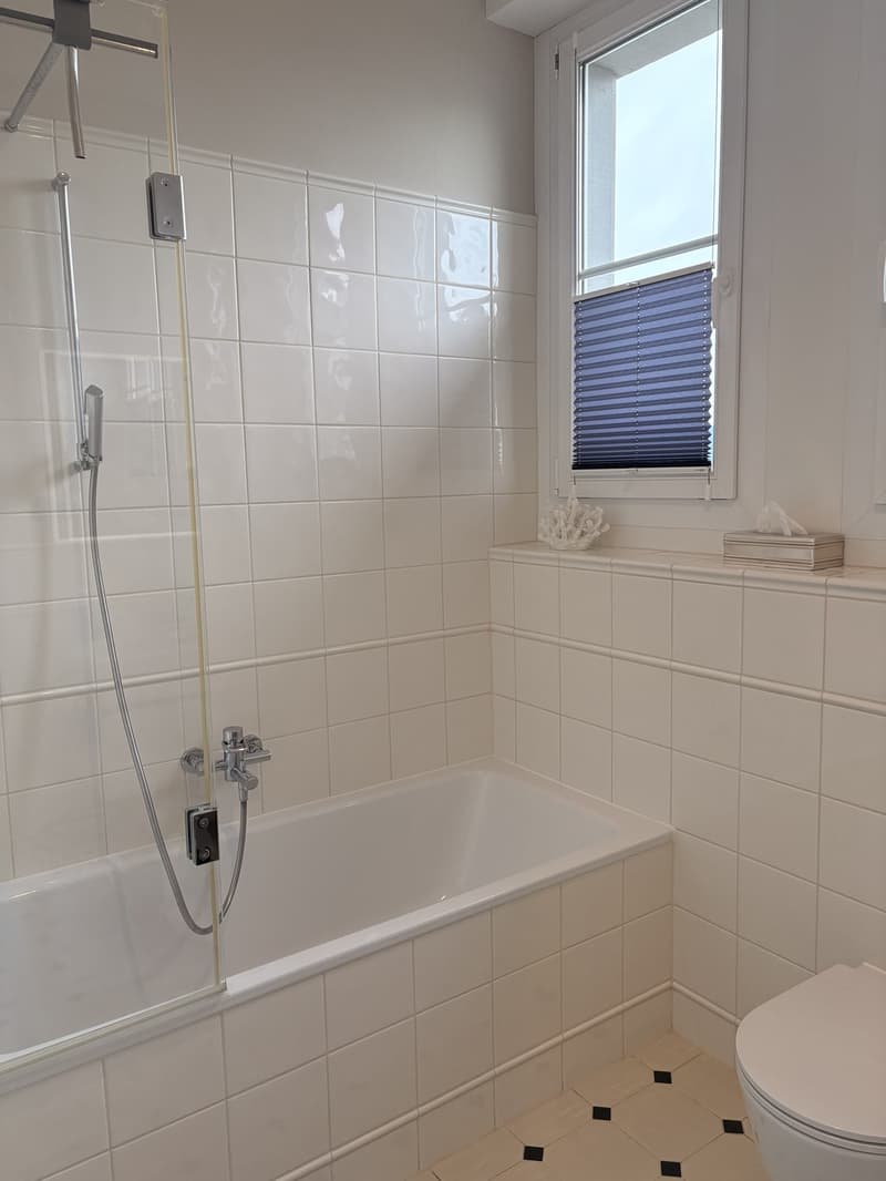 Beautiful Furnished Apartment for Sublet | Zollikon, Zurich (10)