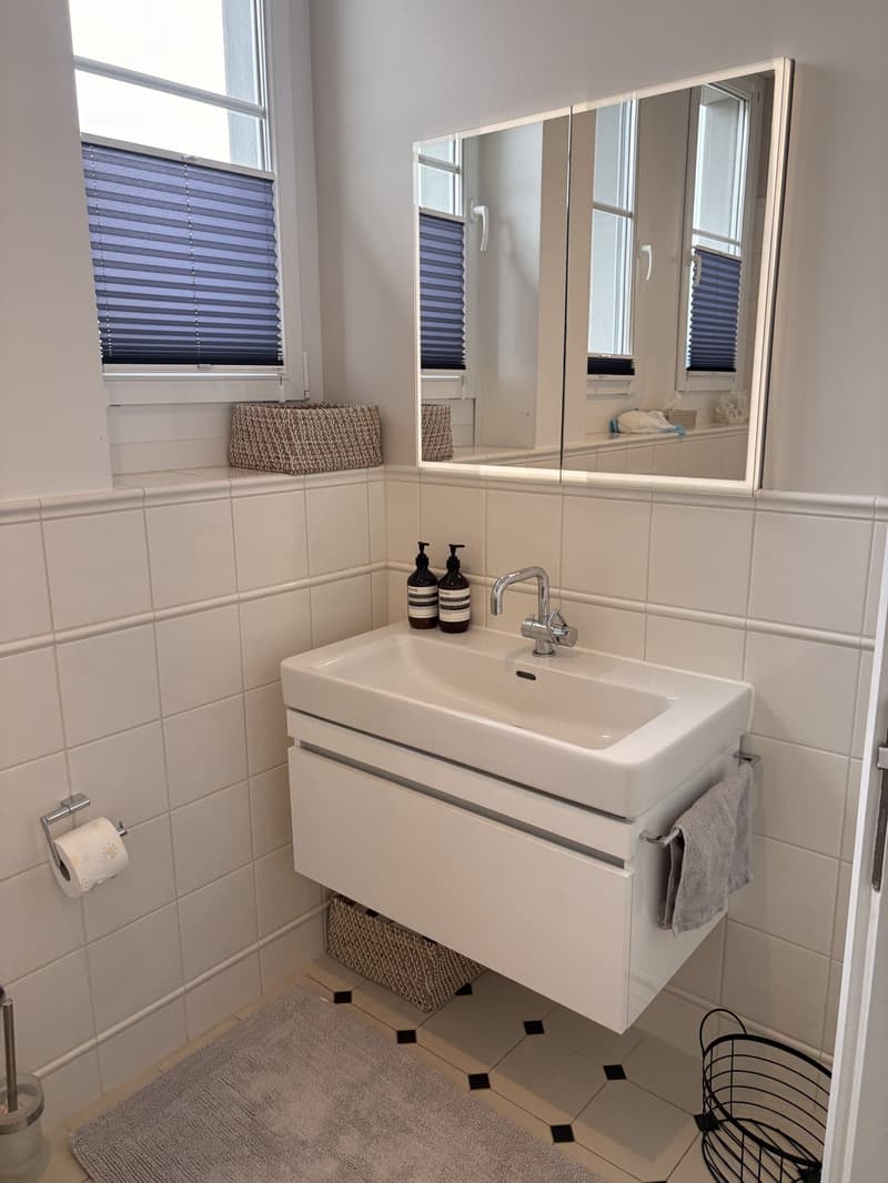 Beautiful Furnished Apartment for Sublet | Zollikon, Zurich (11)