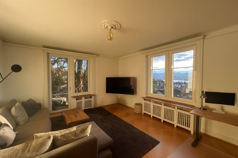Beautiful Furnished Apartment for Sublet | Zollikon, Zurich (7)