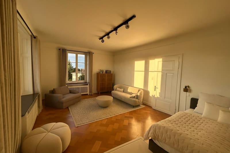 Beautiful Furnished Apartment for Sublet | Zollikon, Zurich (6)