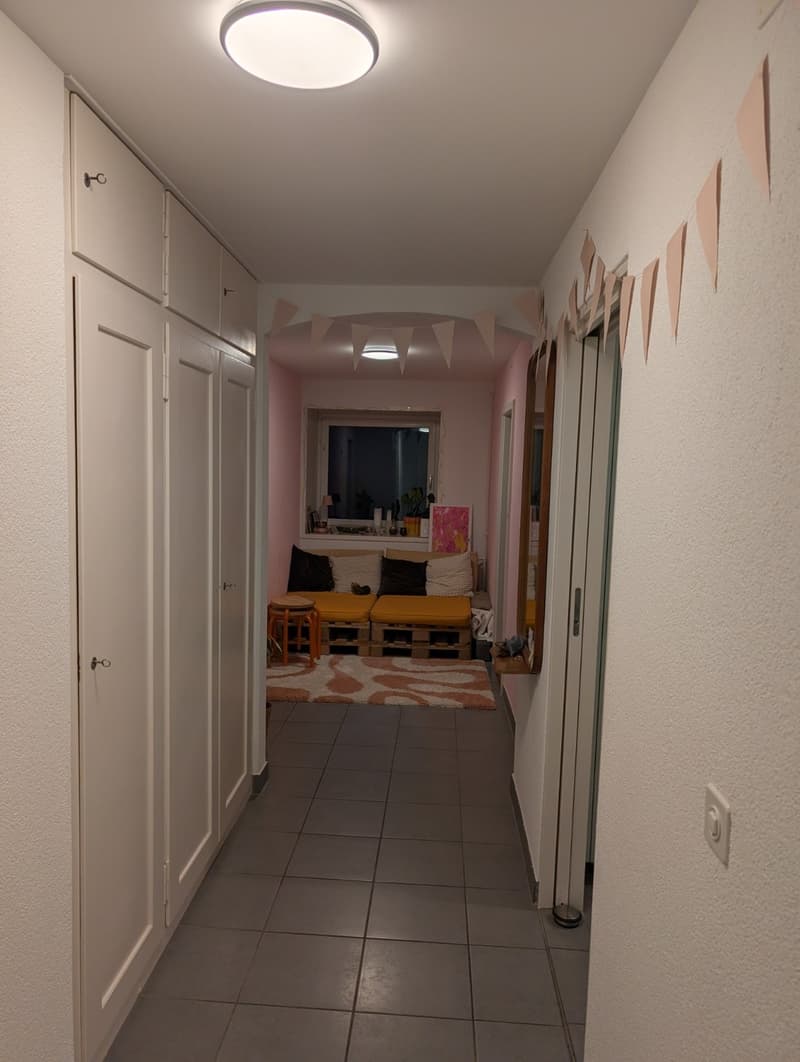 WG-Zimmer/Wohnung in Zürich bis Ende Januar 2027 (3)