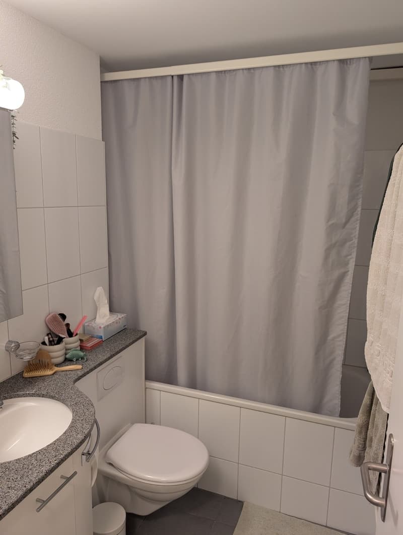 WG-Zimmer/Wohnung in Zürich bis Ende Januar 2027 (2)