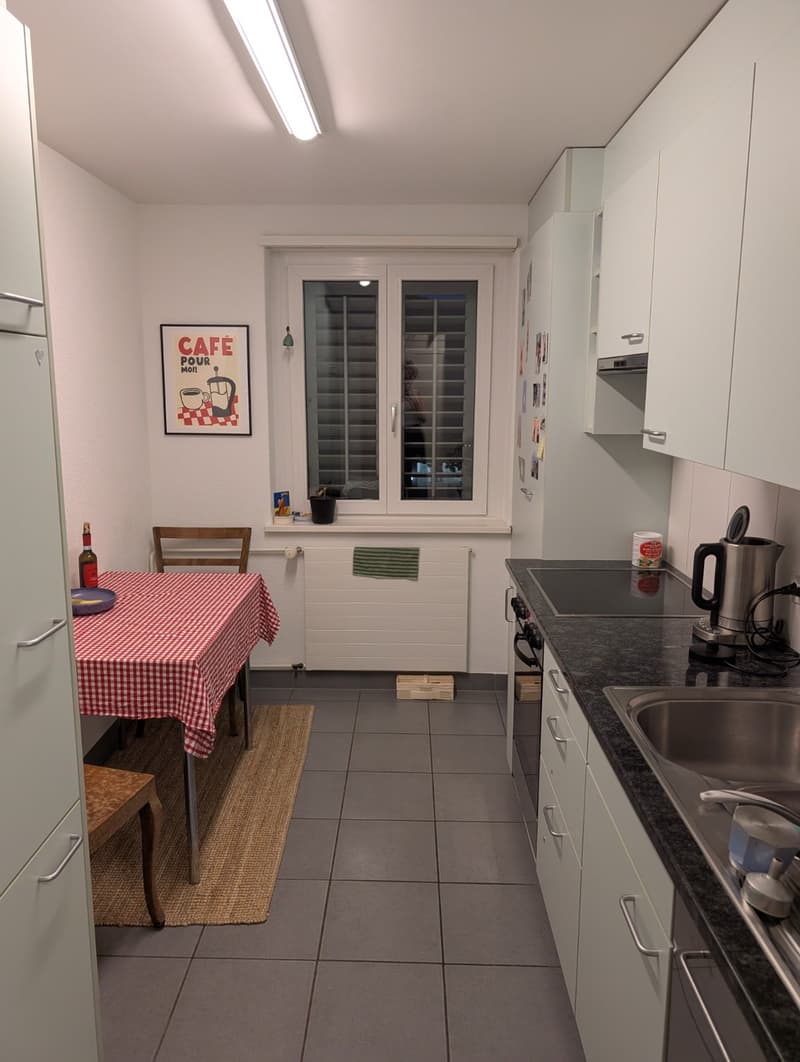 WG-Zimmer/Wohnung in Zürich bis Ende Januar 2027 (4)