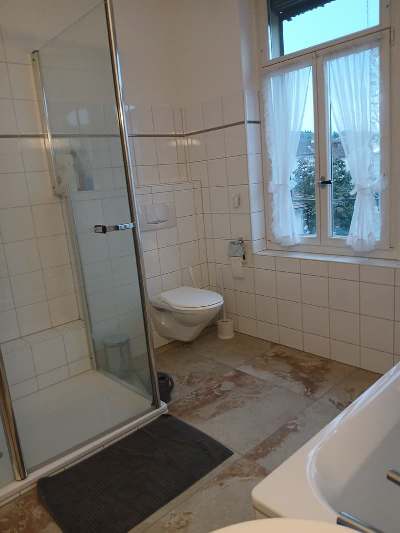 2 ½ Zimmer-Wohnung, 9403 Goldach (3)