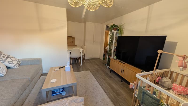 URGENT 4 pièces avec terrasse (6)