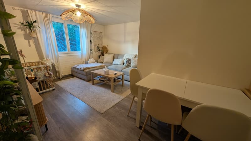 URGENT 4 pièces avec terrasse (1)