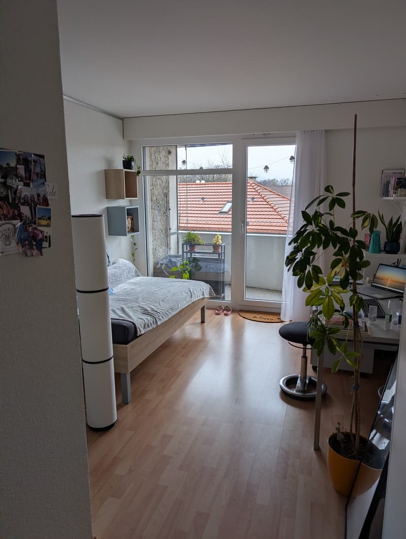 Kleines Studio in der Nähe vom Inselspital (1)