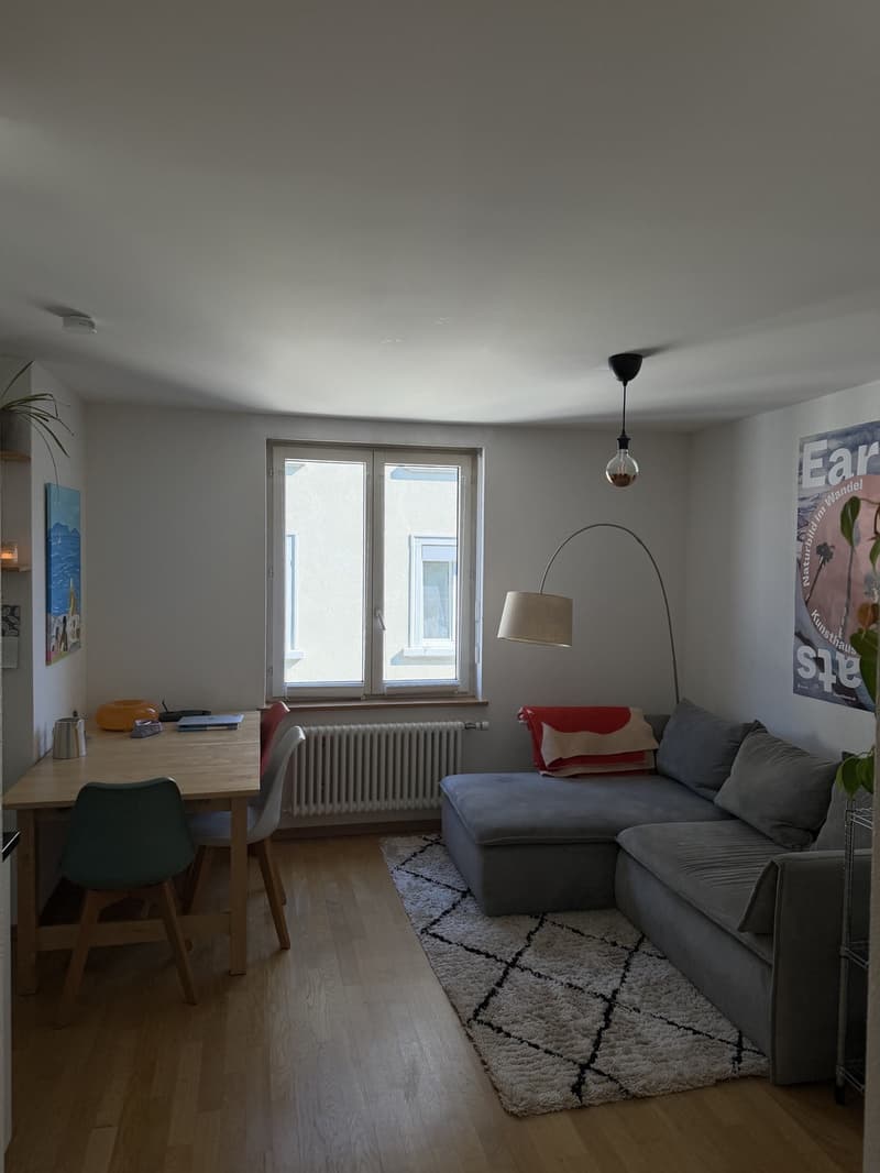 2.5 Zimmer Wohnung in der Nähe vom Limmatplatz (4)
