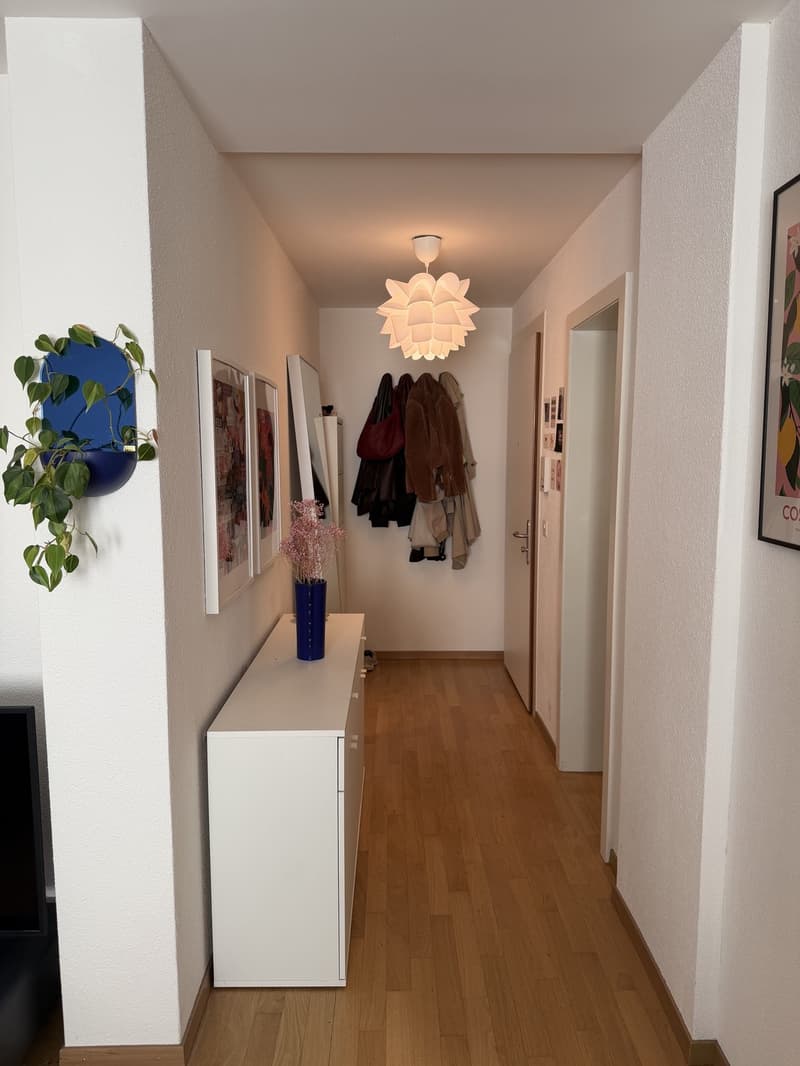 2.5 Zimmer Wohnung in der Nähe vom Limmatplatz (2)