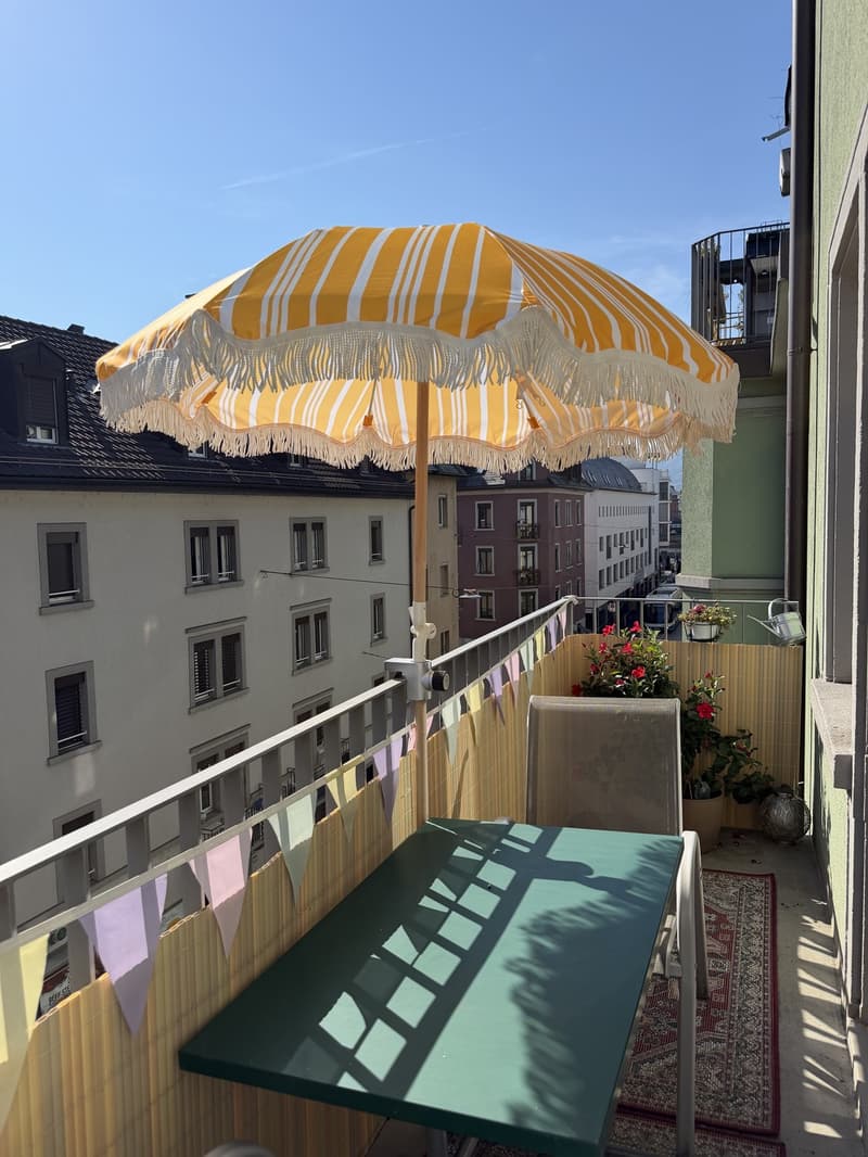 2.5 Zimmer Wohnung in der Nähe vom Limmatplatz (5)