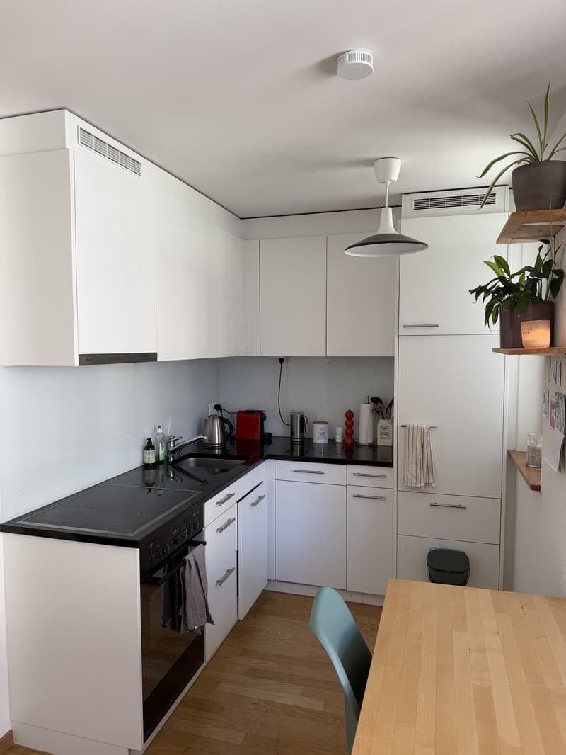 2.5 Zimmer Wohnung in der Nähe vom Limmatplatz (3)