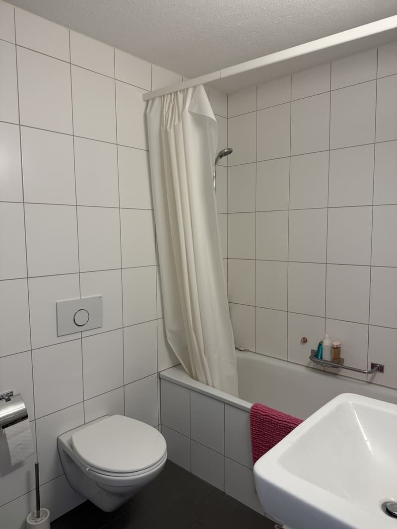 2.5 Zimmer Wohnung in der Nähe vom Limmatplatz (6)