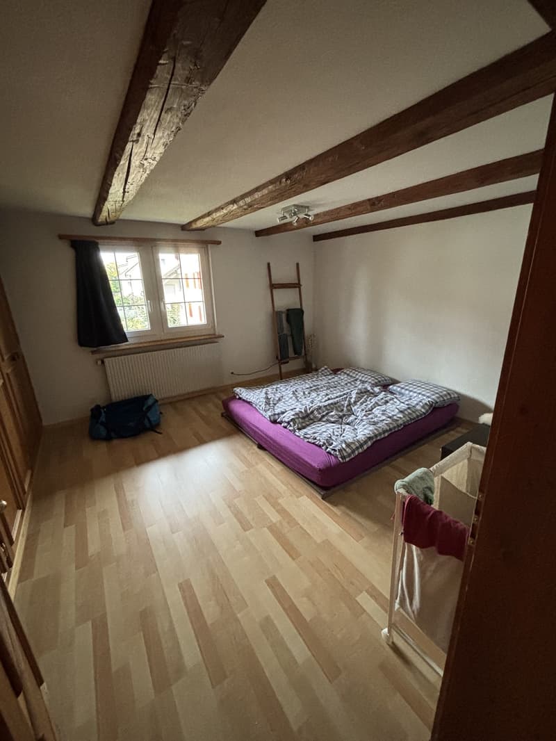 Charmante Altbauwohnung (2)