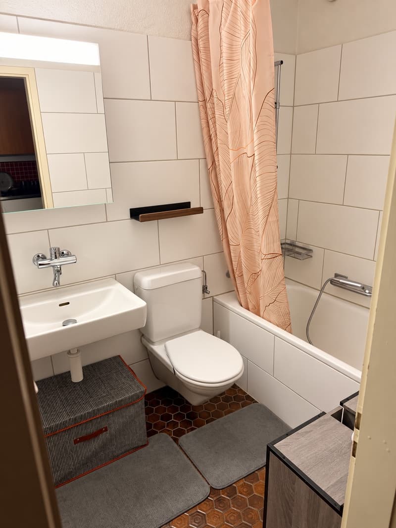 1 ½ Zimmer-Wohnung, 8127 Forch (3)