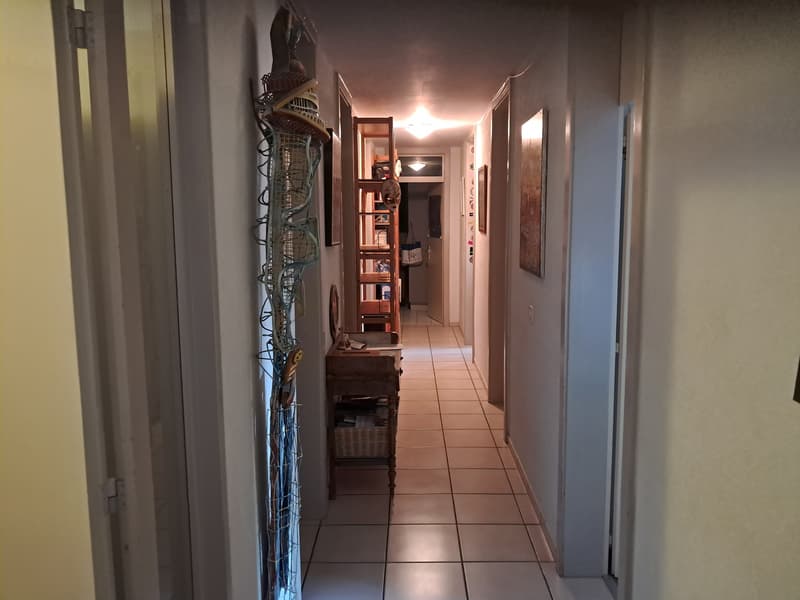 Grand salon et cuisine, une chambre et trois salles de bain. (7)