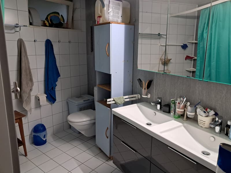 Grand salon et cuisine, une chambre et trois salles de bain. (4)