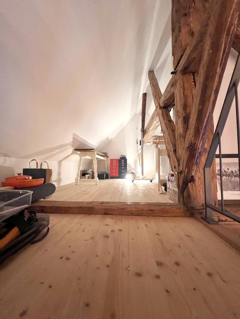 Bojoux in schönem Bauernhaus (auf Wunsch mit Pferdestall) (9)