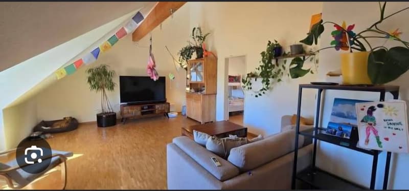 Dachwohnung (3)