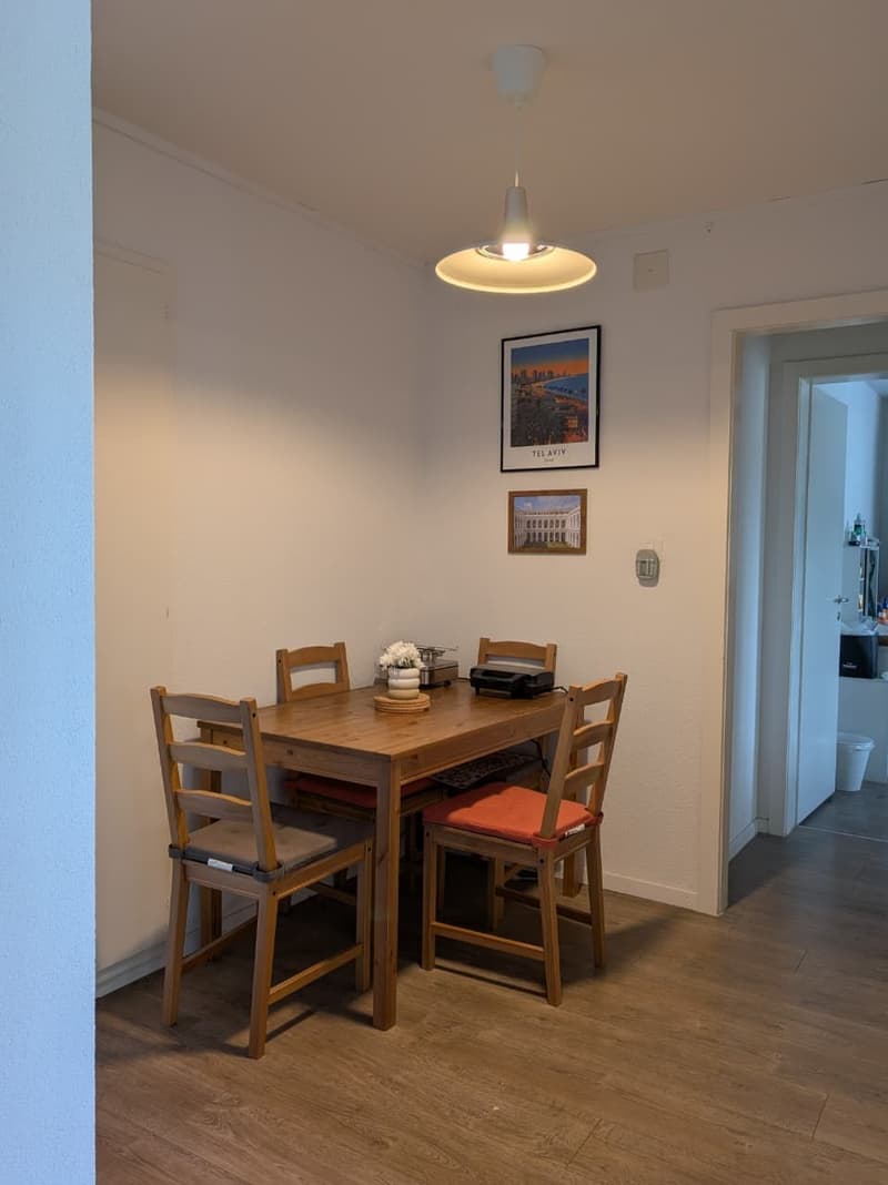 Bright 2-Room Apartment (57 m²) with Balcony in Dübendorf  Excellent Public Transport Connections (4)