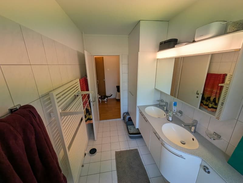 Gemütliche 3.5-Zimmer-Wohnung mit Naturnähe in Uster (2)
