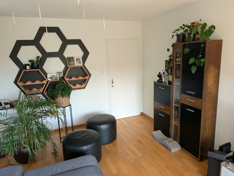 Gemütliche 3.5-Zimmer-Wohnung mit Naturnähe in Uster (11)