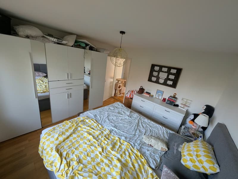 Gemütliche 3.5-Zimmer-Wohnung mit Naturnähe in Uster (13)
