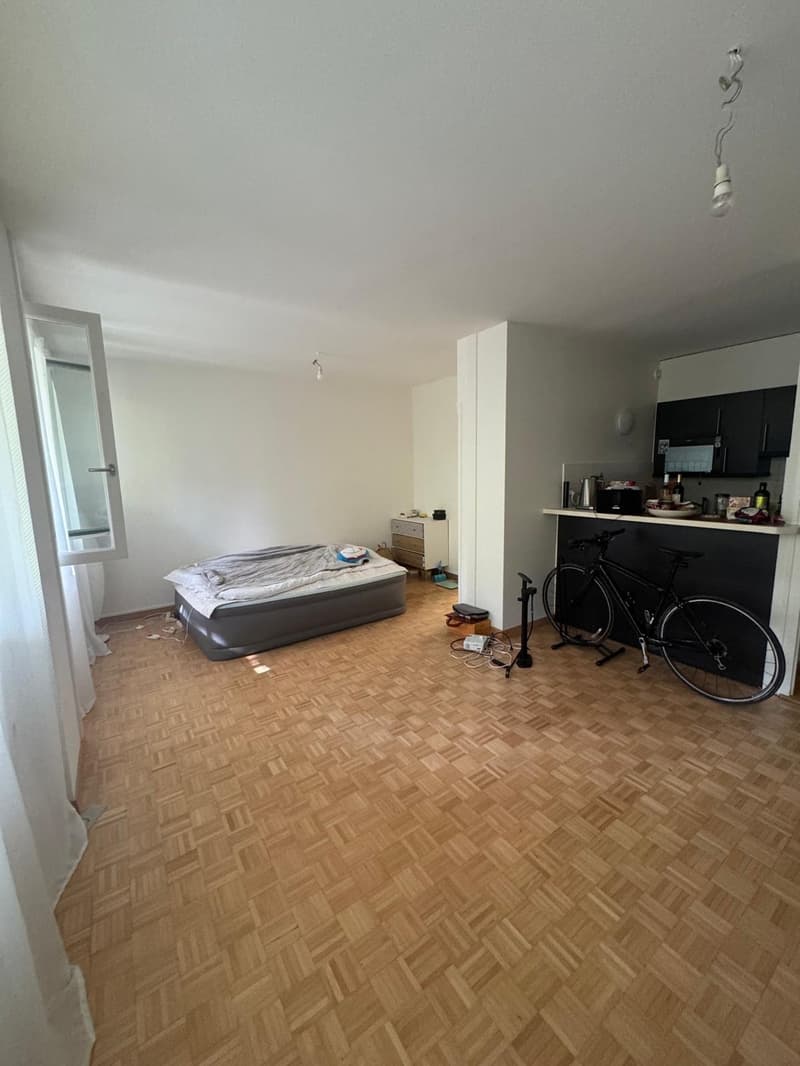 Nice apartment in Eaux Vives near the bus stop Bloch (3)