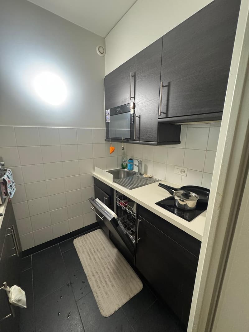 Nice apartment in Eaux Vives near the bus stop Bloch (4)